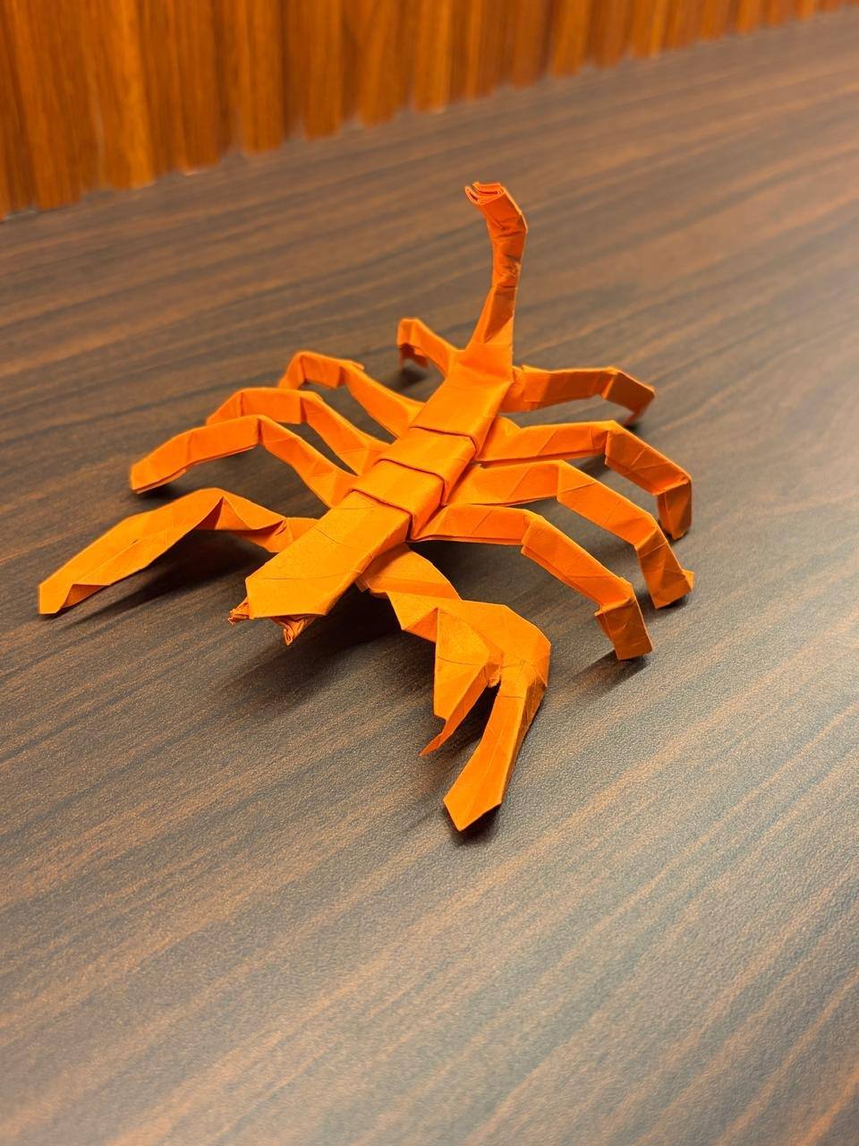 The orange paper scorpion seen from above, legs spread wide and the stinger pointing straight up.